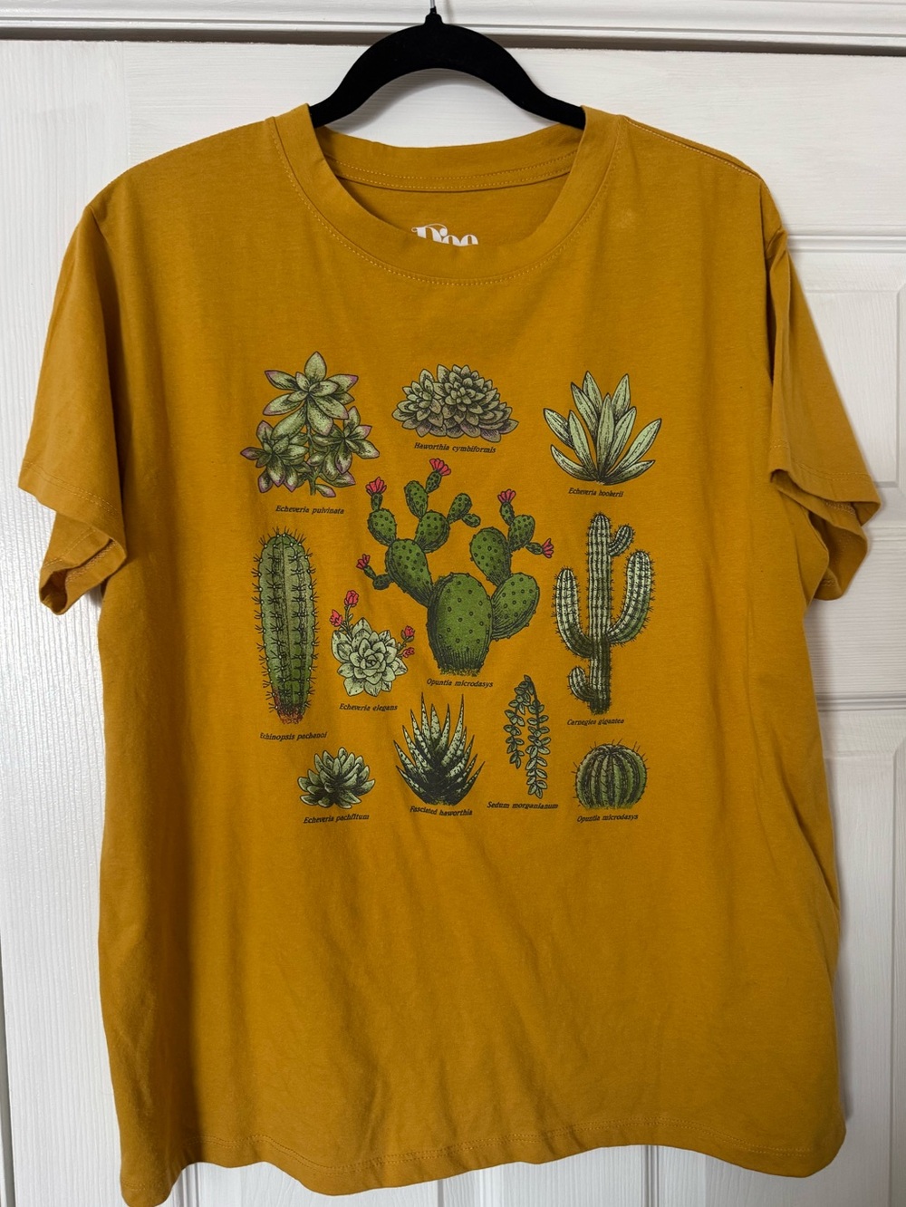 Mustard Yellow Cactus Graphic Tee 2x